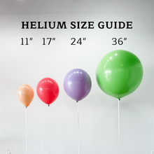 Load image into Gallery viewer, 17" HELIUM BUNDLE