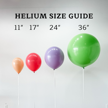 Load image into Gallery viewer, 11" HELIUM BUNDLE