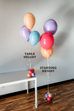 Load image into Gallery viewer, 11" HELIUM BUNDLE