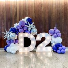 Load image into Gallery viewer, MARQUEE LETTER RENTAL  // LOCALS ONLY