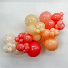 Load image into Gallery viewer, GRAB + GO BALLOON GARLAND