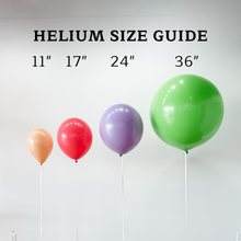 Load image into Gallery viewer, 11&quot; HELIUM BUNDLE
