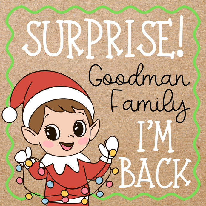 SUPRISE! ELF PAINTED BANNER