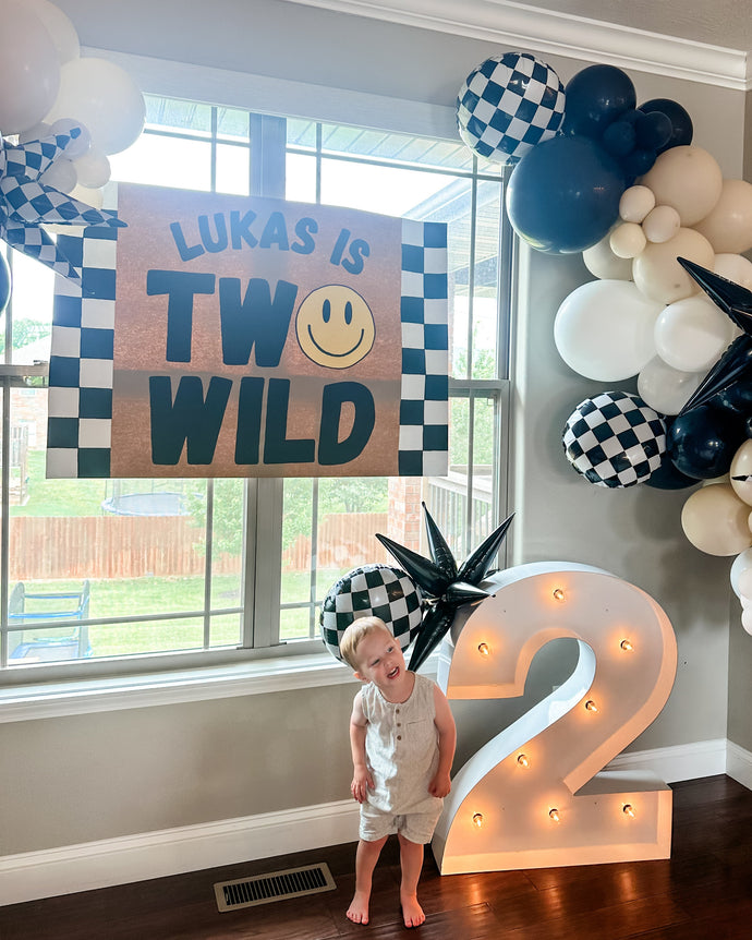 ONE HAPPY DUDE BIRTHDAY BANNER