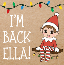 Load image into Gallery viewer, I&#39;M BACK - ELF PAINTED BANNER
